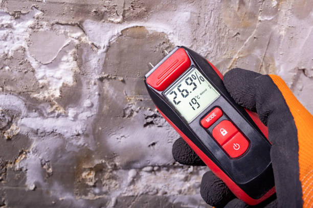 Best Bathroom Mold Remediation in Canadian Lakes, MI