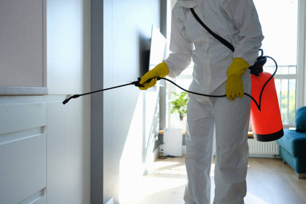 Best Industrial Mold Remediation in Canadian Lakes, MI